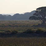 South Africa - iSimangaliso Wetland Park
