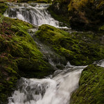 Fundy National Park, Dikson Brock
