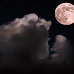 &lsquo;Fish About To Swallow Moon&rsquo;