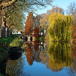 Autumn colors in the city