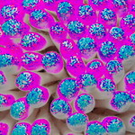 If cotton buds were multicoloured