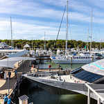 Scenic Port Douglas harbour, Queensland, Australia