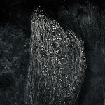 Notes From The Riverbank - IV