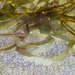 ribbon and wrapstract