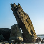 Ol' One-Leg - Rialto Beach - Olympic National Park - September 2019