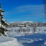 Wish you all merry Christmas and happy holidays