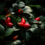 Hello 'leap-year' 2020....