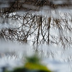 Dance With These Beautiful Ghosts