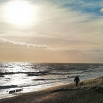 Me and the Dogs .....