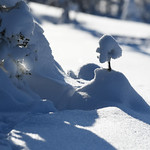 Little Snow Popsicle