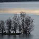 Les cormorans et le p&ecirc;cheur..