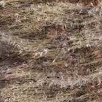 Down Looking @ Smashed