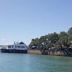 Mangonui