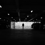 Caught in a spider's web