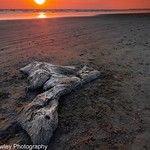 Practice with luminance