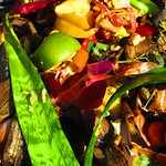 Compost