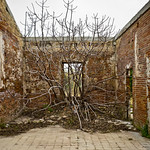 Ocupant el buit / Filling the void