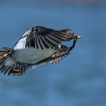 Camera spotted, I am so outta here