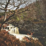 Beautiful Melancholy