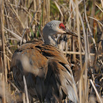 Vancouver 14Mar20.01