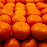 Vitamins! Don`t forget.