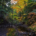 Autumn Colors Along Lepper Brook