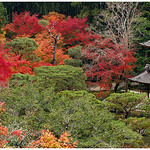 Silver pavilion in autumn, Kyoto, Japan