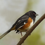 Finally off the ground!