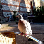 Look! She's got CAKE!