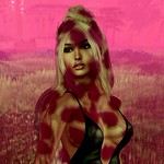 The Weekend - Acquainted