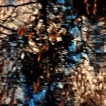 D&iacute;a Internacional de la Madre Tierra