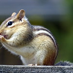 Say A Little Prayer for Me