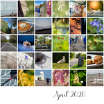 20 20 Vision April 2020