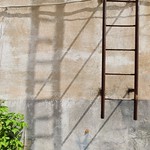 ladder
