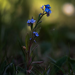 Flying by - Vorbeiflug