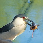 &ldquo;We each survive in our own way.&rdquo; ― Sarah J. Maas, Throne of Glass