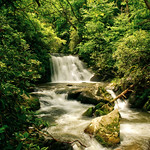 The cold and crystal