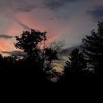 Silhouettes on watercolor outside my window