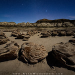 Moonlit Night at the Alien Eggs