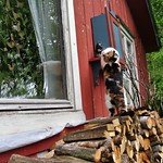 the world is upside down today!!