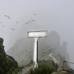 The cold misty Mountains