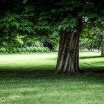 Jardin du Luxembourg