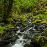 Starvation Creek Falls, June 2020, Orton