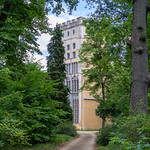 Berlin, Pfaueninsel: Weg zum Kavaliershaus - Berlin, Peacock Island: Path leading to the Cavalier House