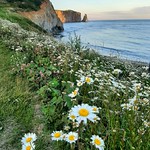 my new favorite place