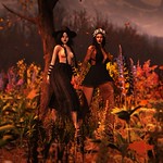 Must Be The Season Of The Witch.