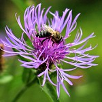 What a busy day today