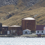 Grytviken