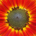 Only one You! - (Explore Dec. 27, 2023)