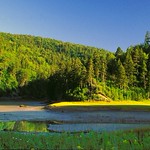 Fundy National Park/Coastline - New Brunswick